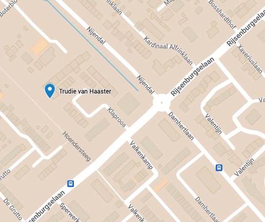 Trudie van Haaster Trudie van Haaster
