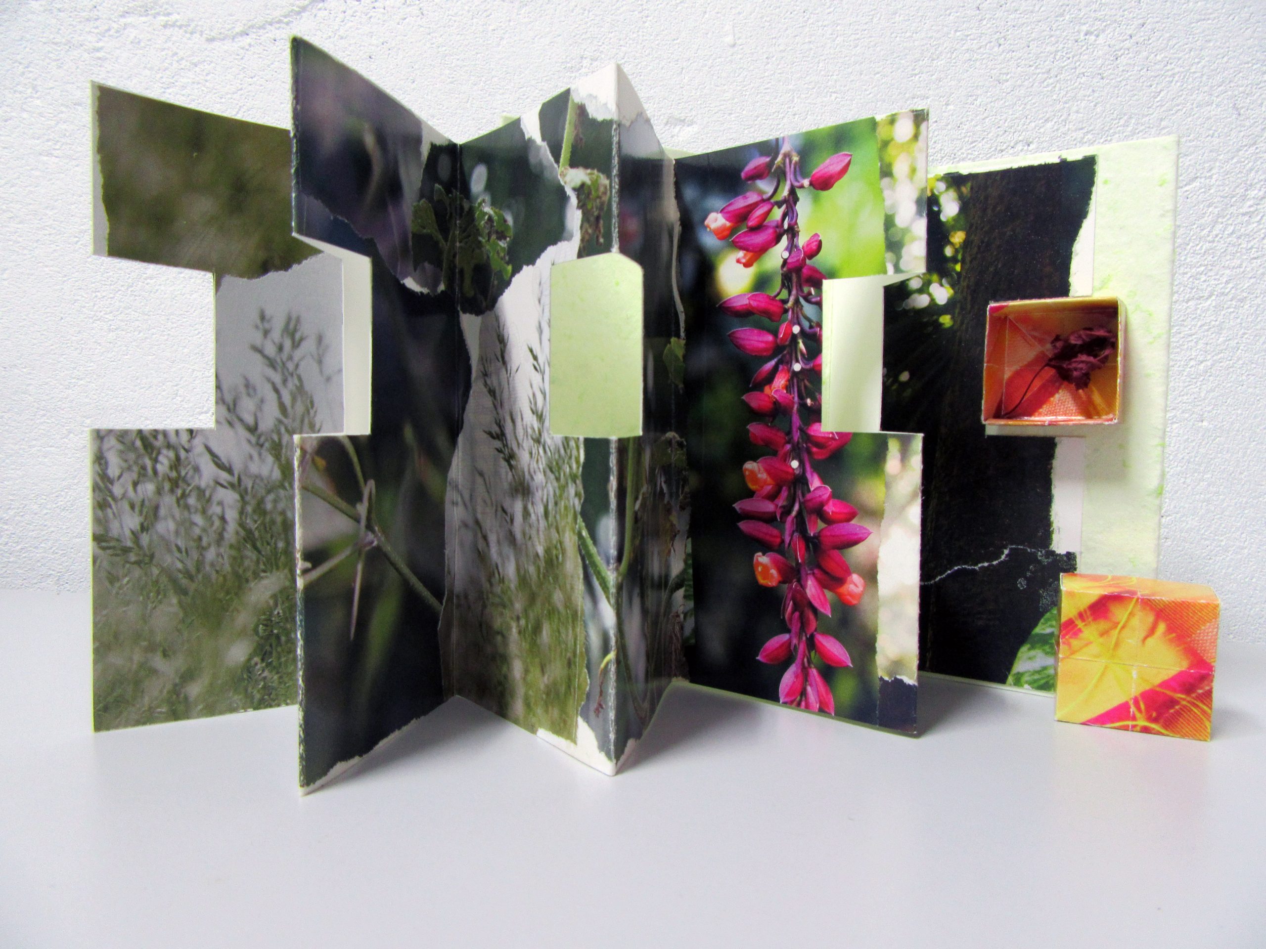 leporello doosje 50x15 cm