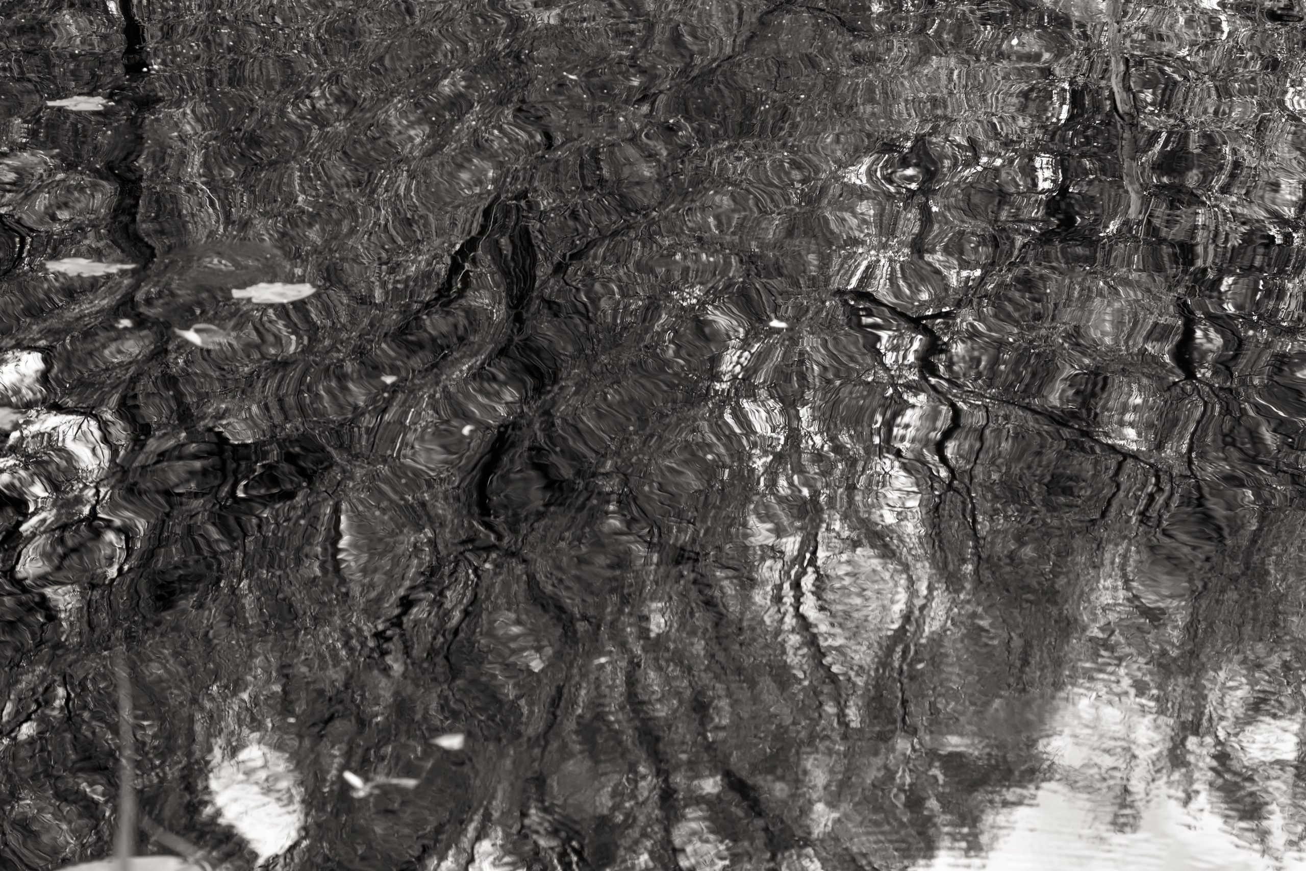 2_Geen Naam_het Joppe.