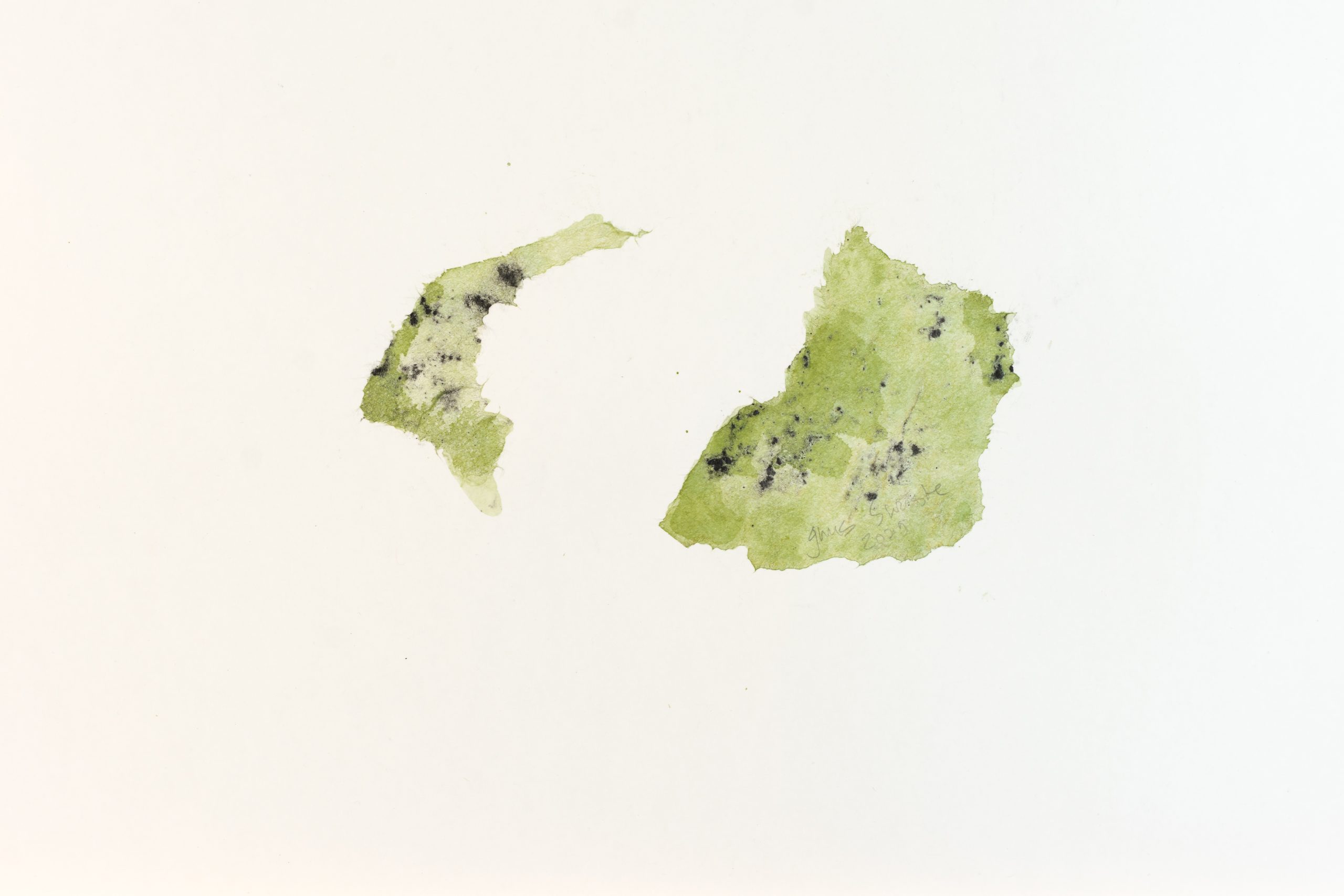 3_Geen Naam_het Joppe. 20x30 cm