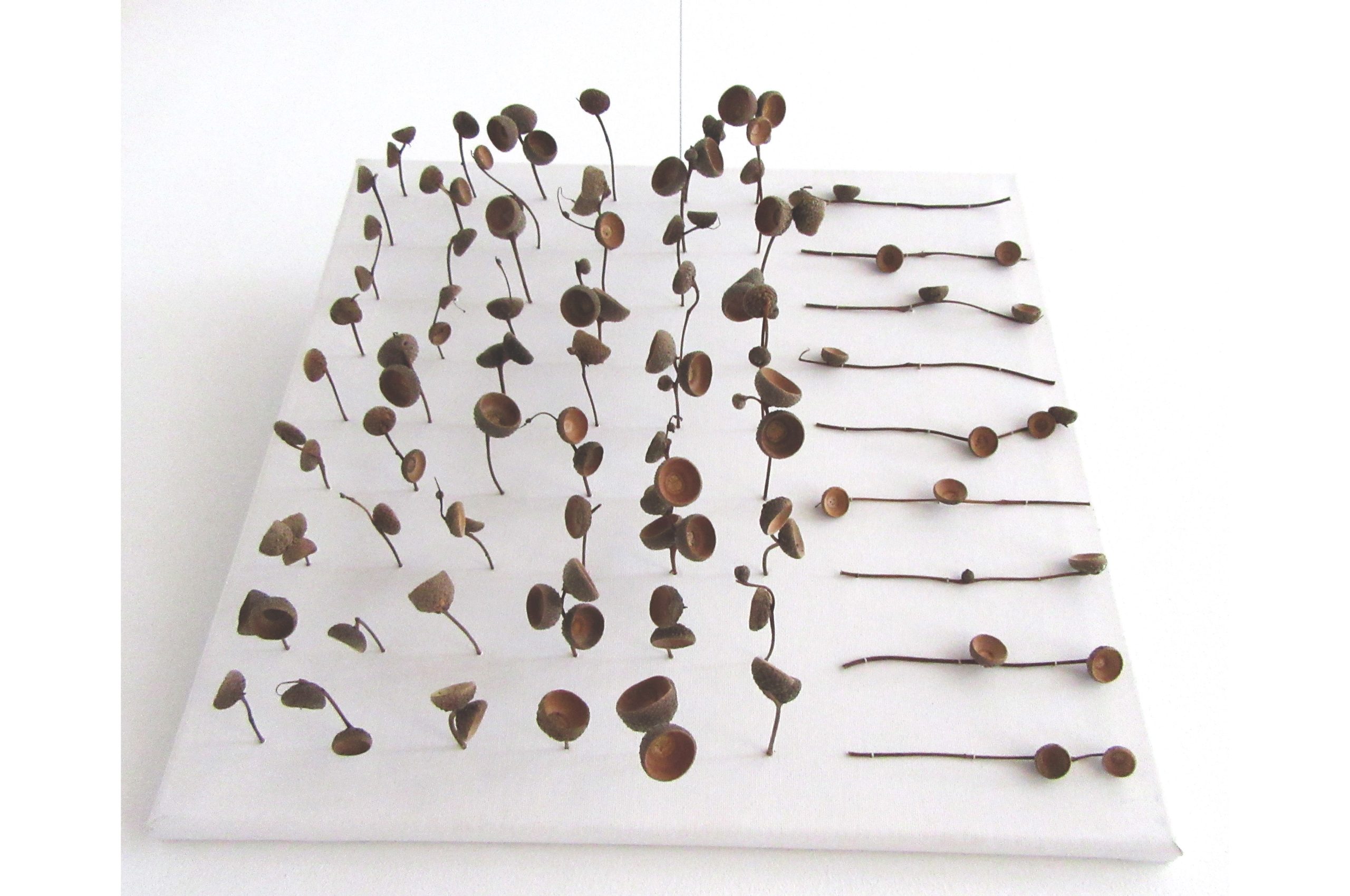 eikelhoedjess 40x40 cm