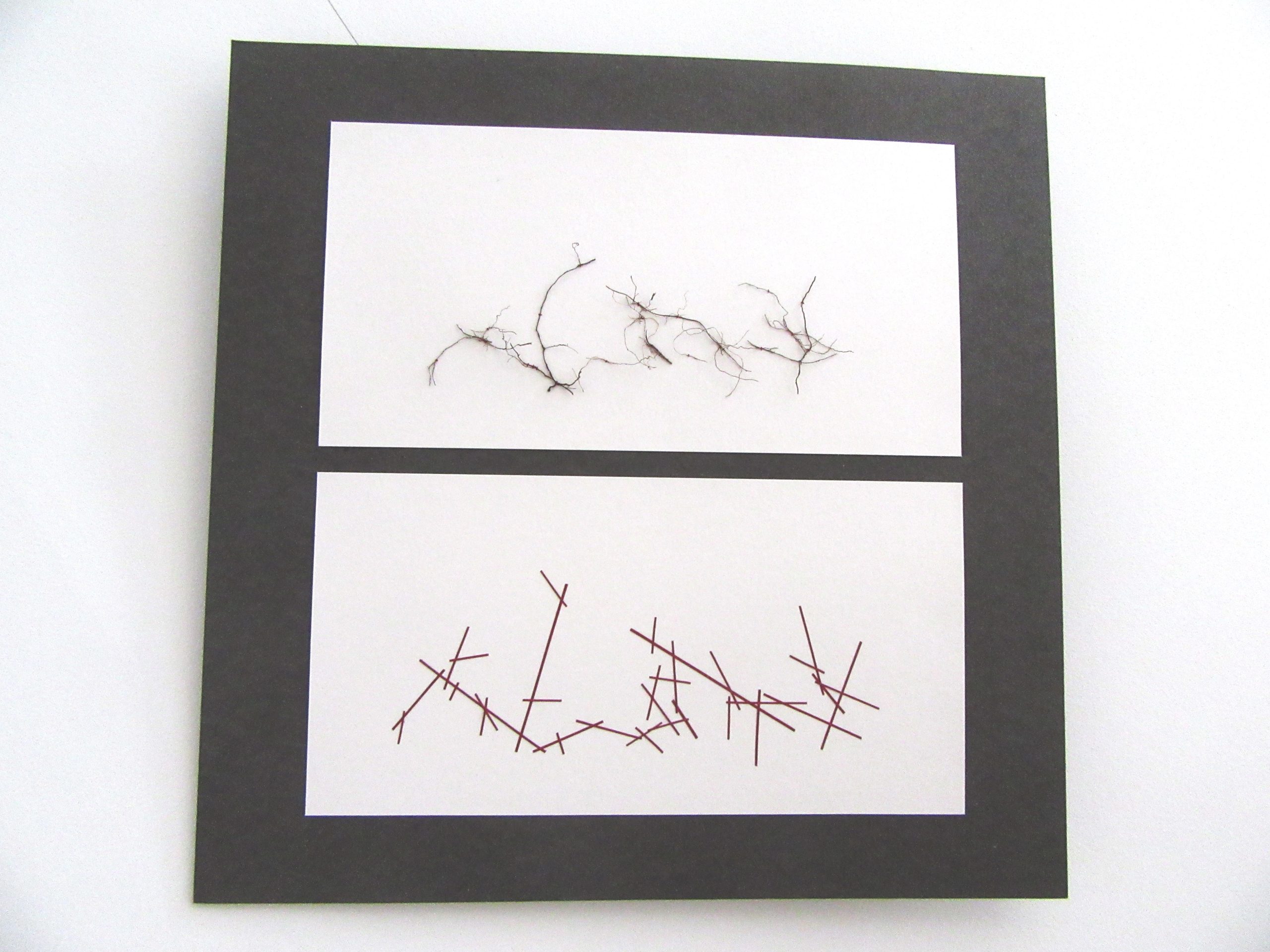 (niet) organisch 50x50cm