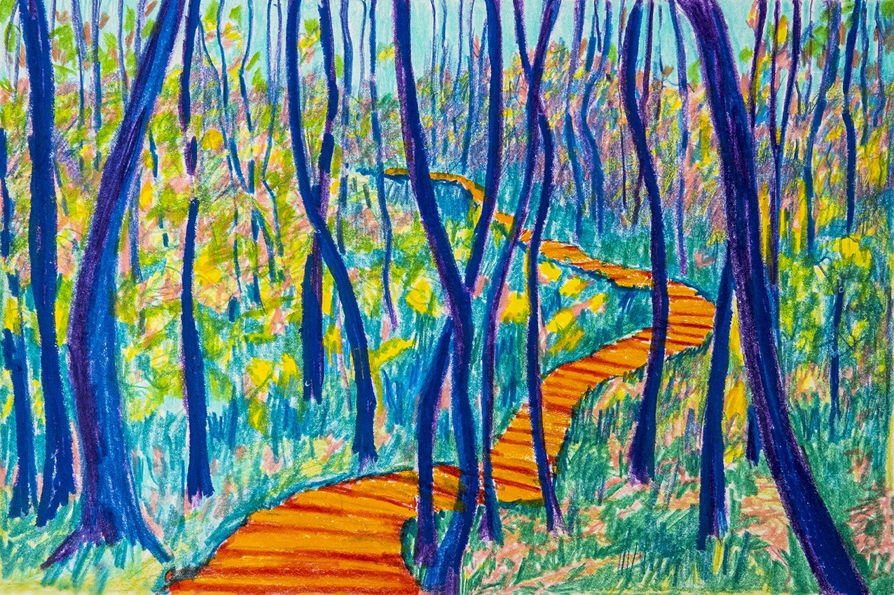 09-01-2022. Het Schuitwater. Een afgesneden loop van de river de Maas in Noord-Limburg. Moerasbos