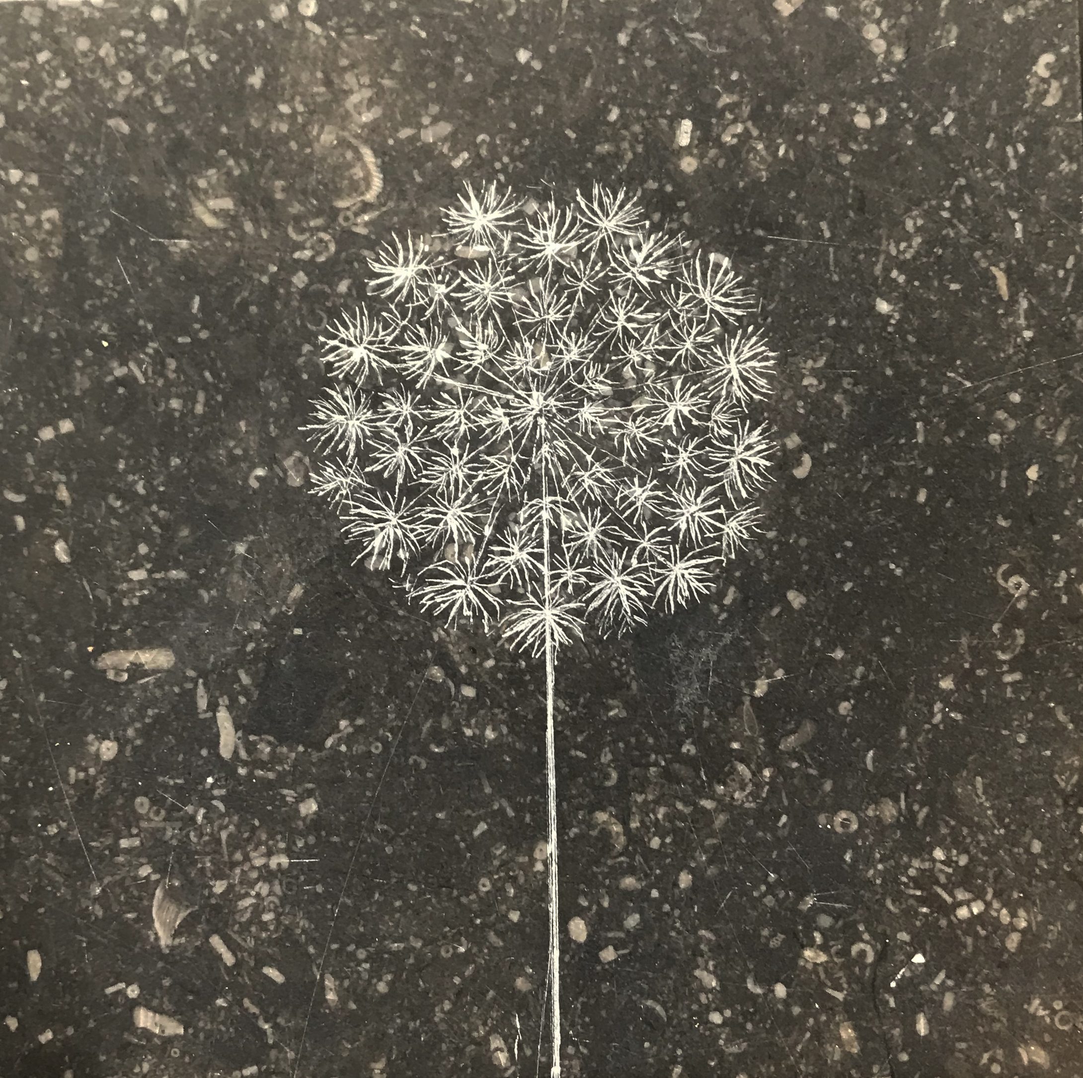 4. belgisch hardsteen belgisch hardsteen