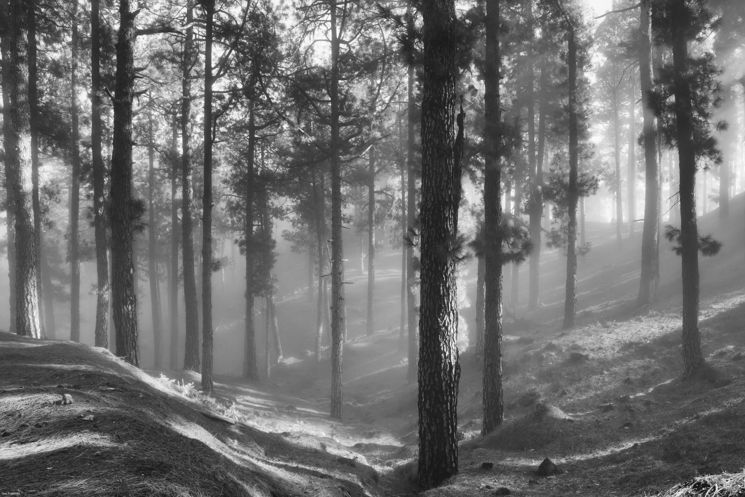 Natuur 8 30x40 cm zonsopkomst. jpg Zonsopkomst 30x40 cm